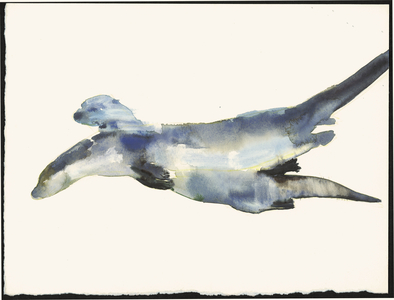 Courting Otters (watercolour on paper)
