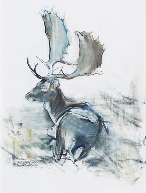 Buck in the Grass, 2006 (charcoal & conte on paper)