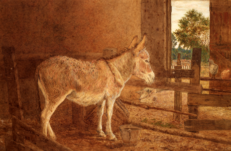 A Brown Study