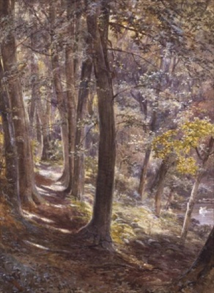 A Woodland Glade, 1872 (w/c on paper)