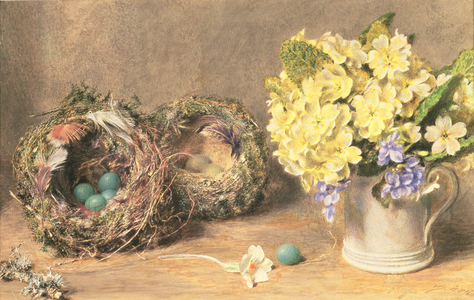 Spring Flowers and Birds' Nests, c.1830 (w/c & bodycolour on paper)