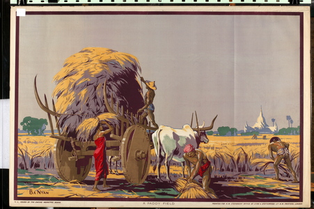 A Paddy Field, from the series 'Burma: A Land of Rich Resources' (colour litho)