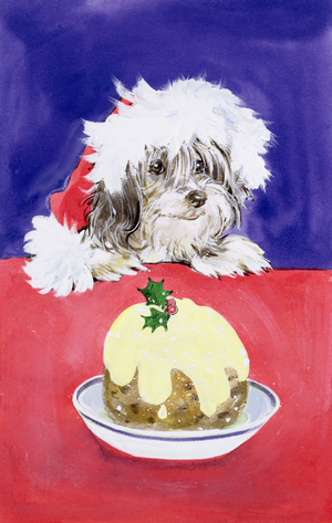 The Christmas Pudding