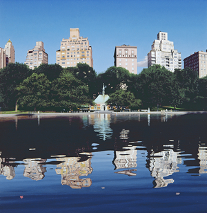 Boat Pond, 1994 (oil on panel)