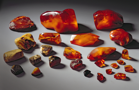 Amber of different size and colour, Eocene Period (Tertiary) (amber)