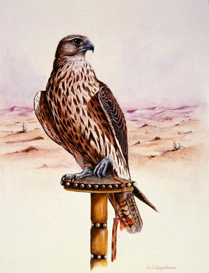 Saker, 1980 (w/c on paper)