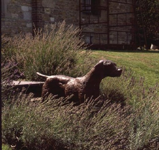 Dog (bronze)