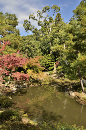 Toji-in - Kyoto (Japan) - Edo period - Buddhist temple - walk garden with pond and the pavilion - Toji-in - Kyoto (Japan) - Edo period - Buddhist temple - stroll garden with pond and tea house jardin