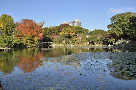 Shosei-en ou Kikokutei - Higashi Hongan-ji - Kyoto (Japan) - Edo period - Buddhist temple - garden promenade with pond designed by Ishikawa Jozan - Shosei-en or Kikokutei - Higashi Hongan-ji - Kyoto (Japan) - Edo period - Buddhist temple - stroll garden with pond designed by Ishikawa Jozan Jozan