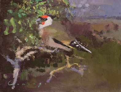 Goldfinch (oil on board)