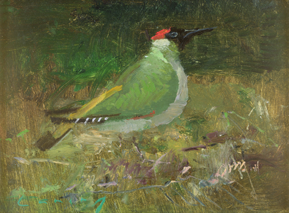 Green Woodpecker (oil on board)