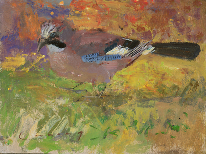 Jay (oil on board)