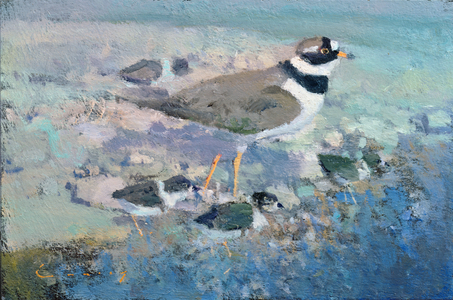 Ringed Plover and Chicks (oil on board)