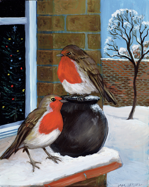Robins in the snow