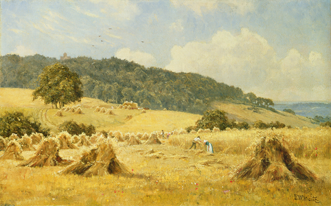 Cornfields, St. Martha's Chapel, near Guildford, 1912