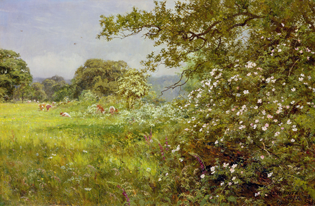 A Summer Hedgerow, 1895 (oil on canvas)