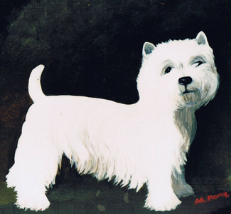 Westie, 1991 (acrylic on board)