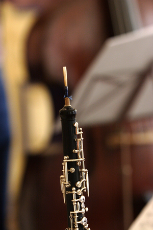 Oboe showing double reed