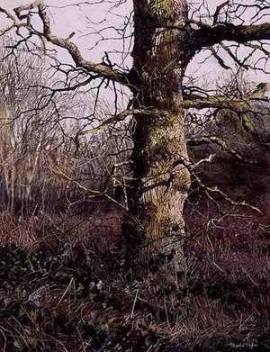 Tree Portrait, Badby Woods (w/c and acrylic on paper)