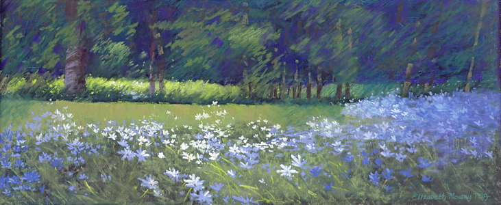 Daisy Medley (pastel)