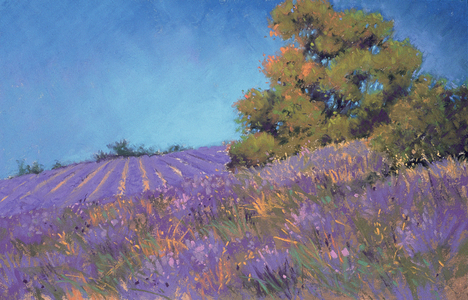Lavender #8 (pastel)