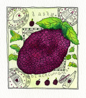 Blackcurrant, 1992 (w/c & ink on paper)