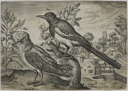 Old Master Engraving (engraving)