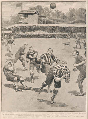 The Football Association Cup - The Final Tie in the Crystal Palace Grounds, 1895 (litho)