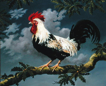 Silver Dorking Cock (oil on canvas)