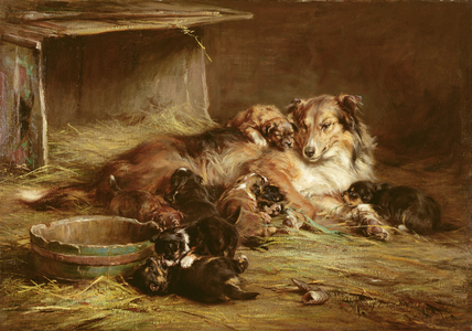 The Happy Mother