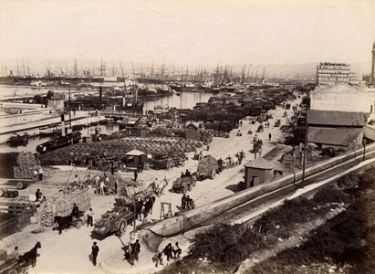 View of the old port of the city of Marseille, Bouches du Rhone (13), cenotype from the beginning of the 20th century.