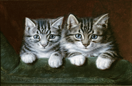 Two Tabby Kittens (oil on canvas)