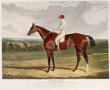 'Spaniel', the Winner of the Derby Stakes at Epsom, 1831, engraved by Charles Hunt (1803-77), pub. by S. & J. Fuller, 1831 (aquatint)