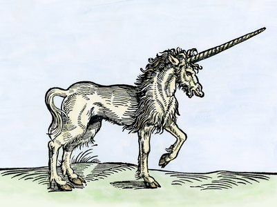 Myths and legends: a Unicorn. Engraving after an illustration of Gesner's book “Historiae Animalium””, Zurich, 1551.