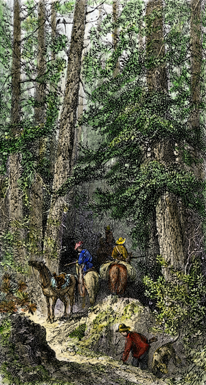 History of the West Conquete settlers: American pioneers. Pioneers with horses entering the wild forest of a Mountain in the United States. Colourful engraving of the 19th century.