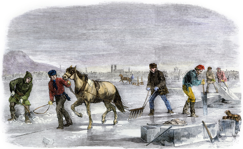 The cutting and transport of ice blocks of the St. Lawrence River gele in Quebec, Canada, circa 1850. Color lithography, 19th century.