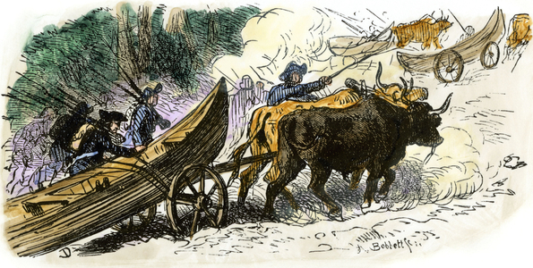 War of Independence of the United States of America (1775-1783): expedition by Benedict Arnold (1741-1801) across the wild plains of Maine to attack Quebec, 1775. Ox shooting canoes. Colouring engraving of the 19th century.