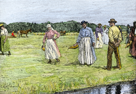 Agriculture: Seed rice by black slaves in North Carolina plantations, 19th century. Colour engraving of the 19th century