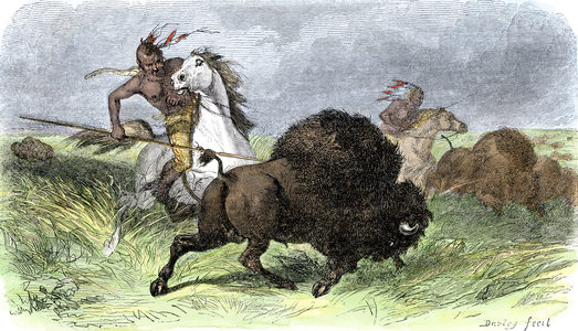 History of Indigenous Peoples: Plains Indians on horseback to hunt buffalo, 19th century. Colourful engraving of 19th century.