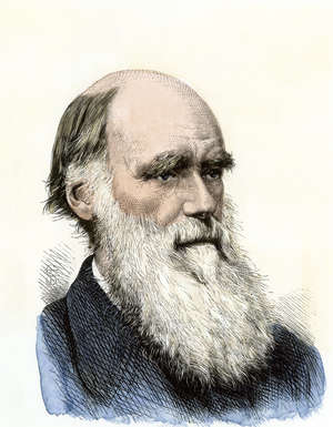 Portrait of the English naturalist Charles Darwin (1809-1882).