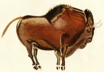 Reproduction of a prehistoric painting found in the Spanish cave of Altamira depicting a bull.