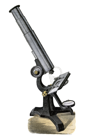 Microscope composes. United States. The years 1870. Colour engraving after a 19th century illustration.