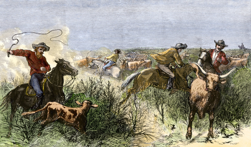 Cowboys driving cattle from Texas to Kansas, USA. 1870 Colouring engraving.