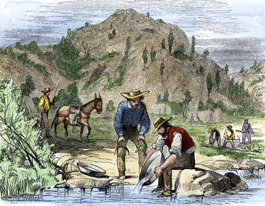 Gold Rush: Gold seekers wash sediments in order to find a golden pepite in a California river. Engraving of the 19th century.