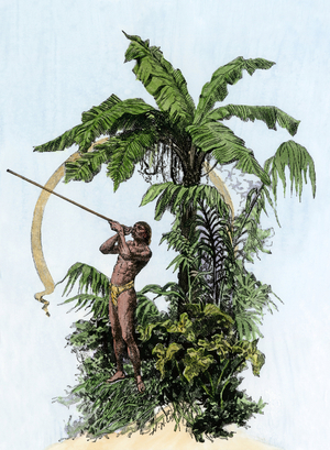 Discovery of the New World (Discovery of America): Amazon Indian (Brazil) using a sarbacan as a hunting weapon. Colour engraving of the 19th century