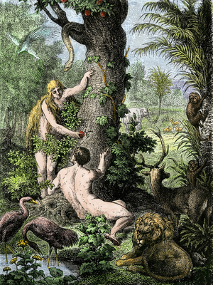 Biblical scene: Adam and Eve in the Garden of Paradise. Eve tempted by the snake tends the defended fruit to Adam. Colour engraving of the 19th century.