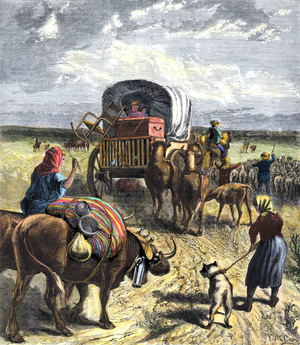 History of the West Conquete settlers: American pioneers. Diligence of a family benefiting from the homesteader act leaving for the West with their affairs, 19th century. Colourful engraving of the 19th century.