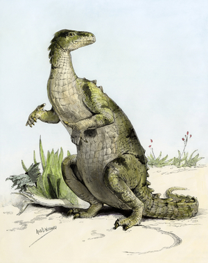 Iguanodon: herbivor dinosaur of the inferior Cretace of prehistory. Drawing by Woodward, 1890. Colour engraving of the 19th century.