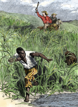 Escape of a slave trying to sow slave hunters and their dog. Colour engraving of the 19th century.