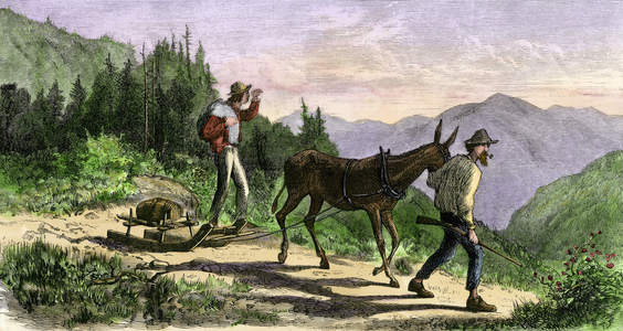 Whisky liqueur coming from the Southern Appalachian Market around 1860. Colour engraving of the 19th century.